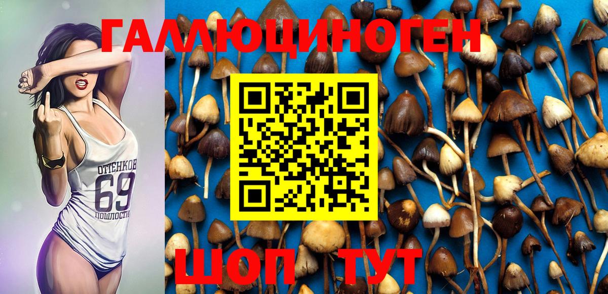 Галлюциногенные грибы GOLDEN TEACHER  Вход с VPN  Галлюциногенные грибы Psilocybe  Изобильный 